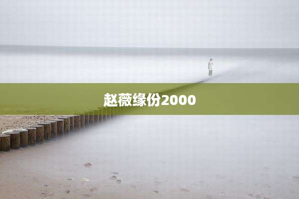 赵薇缘份2000