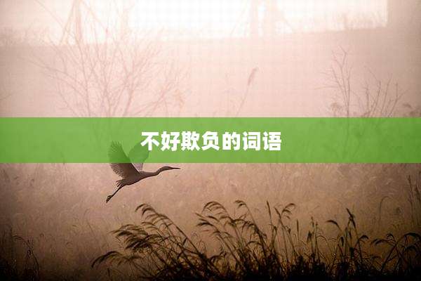 不好欺负的词语