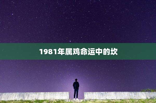 1981年属鸡命运中的坎