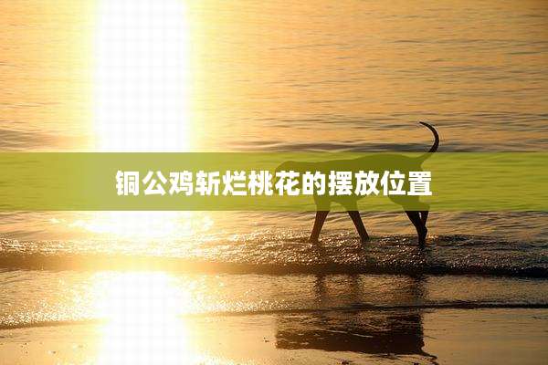 铜公鸡斩烂桃花的摆放位置