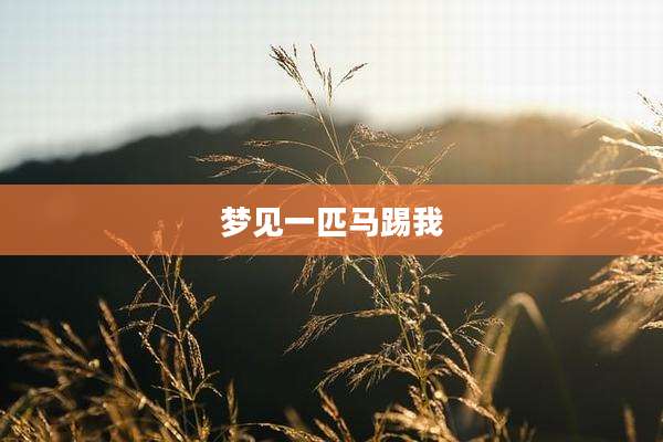 梦见一匹马踢我