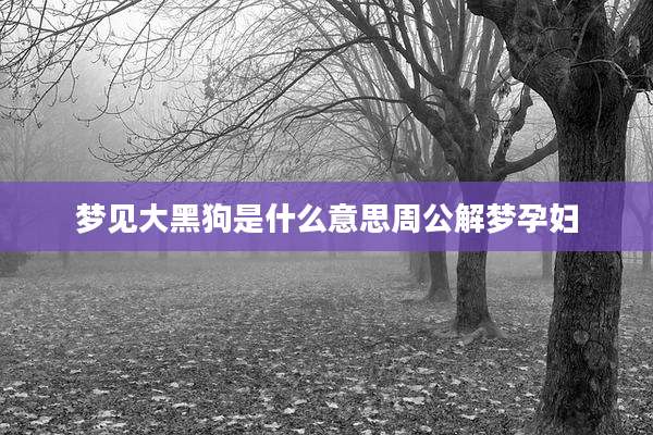 梦见大黑狗是什么意思周公解梦孕妇