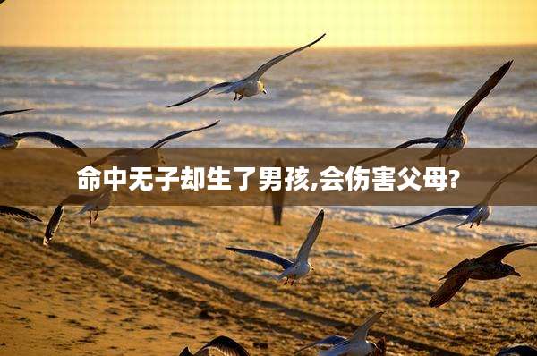 命中无子却生了男孩,会伤害父母?