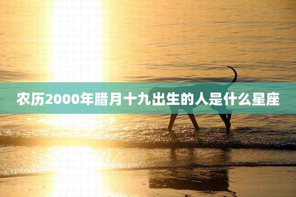 农历2000年腊月十九出生的人是什么星座