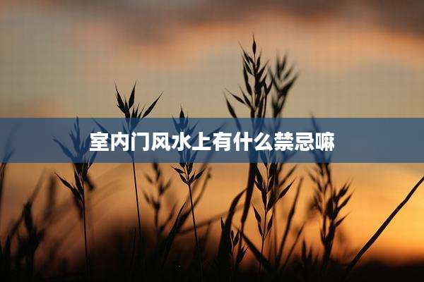 室内门风水上有什么禁忌嘛