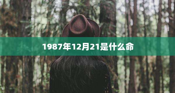 1987年12月21是什么命