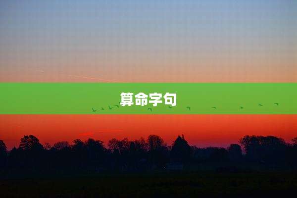 算命字句