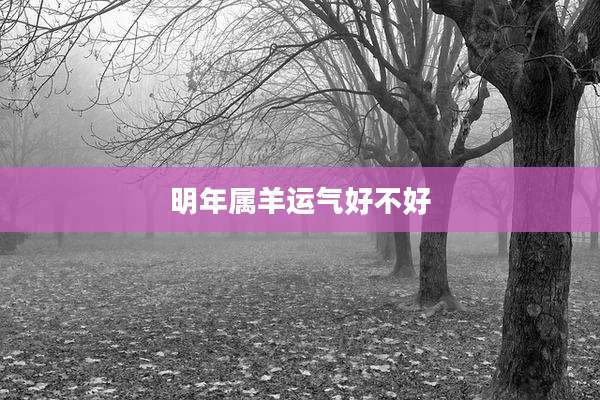 明年属羊运气好不好