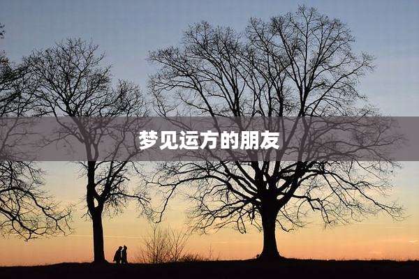梦见运方的朋友