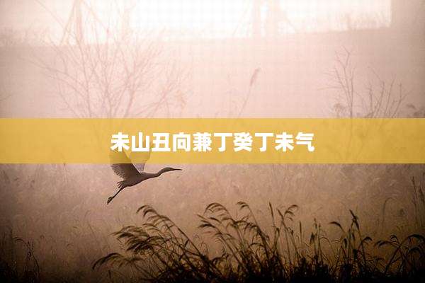 未山丑向兼丁癸丁未气