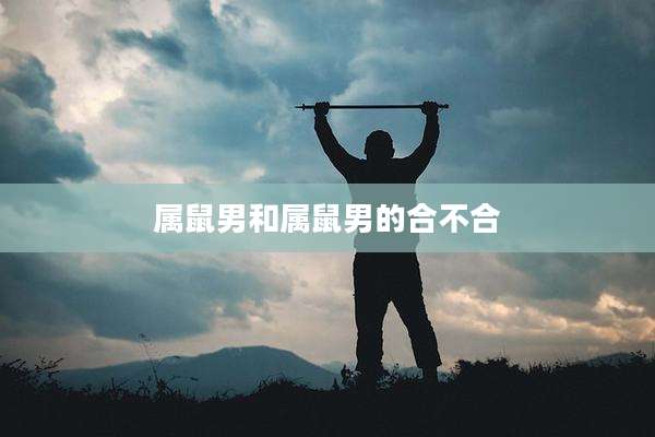 属鼠男和属鼠男的合不合