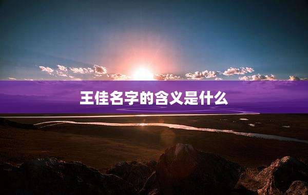 王佳名字的含义是什么