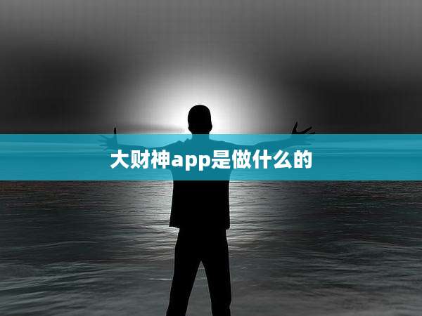 大财神app是做什么的