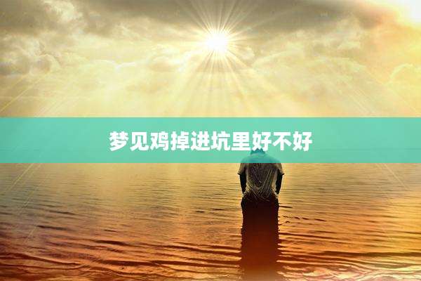 梦见鸡掉进坑里好不好