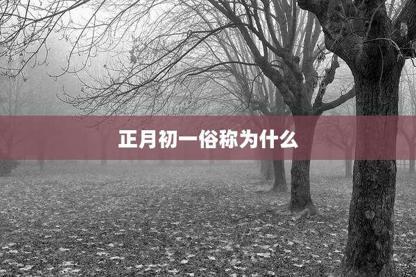 正月初一俗称为什么