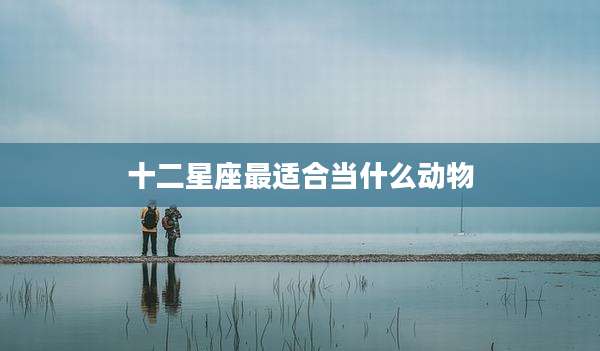 十二星座最适合当什么动物
