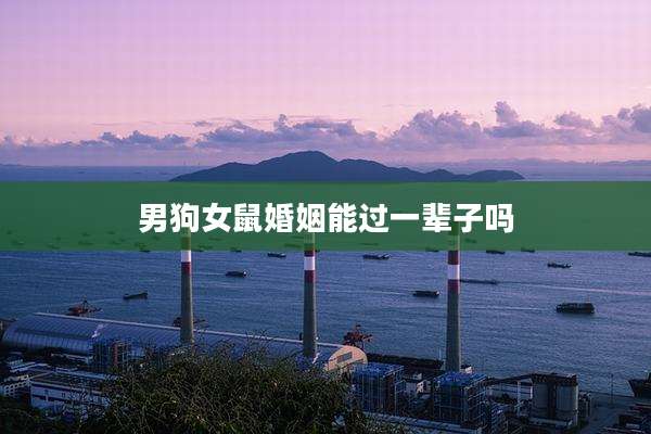男狗女鼠婚姻能过一辈子吗