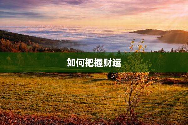 如何把握财运