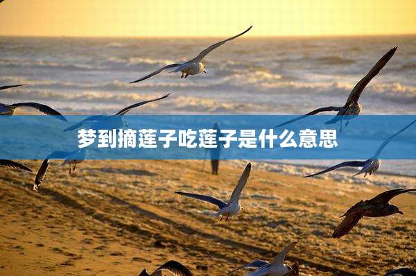 梦到摘莲子吃莲子是什么意思