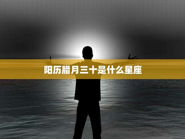 阳历腊月三十是什么星座