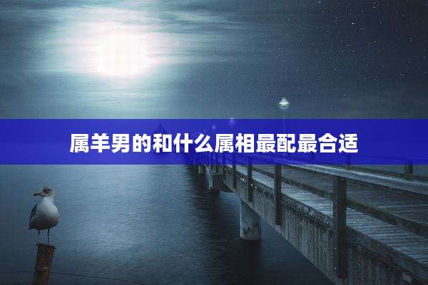 属羊男的和什么属相最配最合适