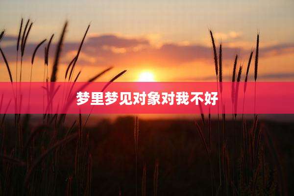梦里梦见对象对我不好