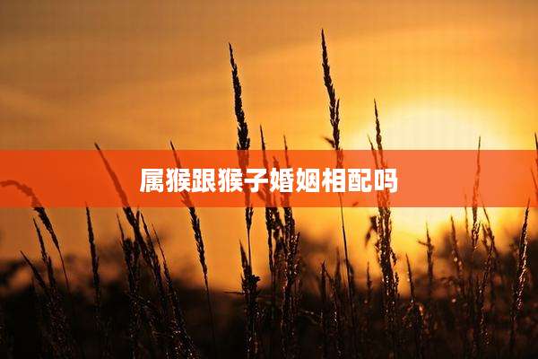 属猴跟猴子婚姻相配吗