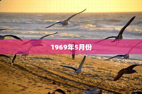 1969年5月份