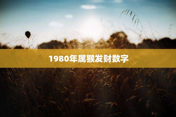 1980年属猴发财数字