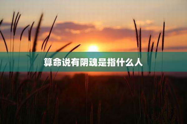 算命说有阴魂是指什么人
