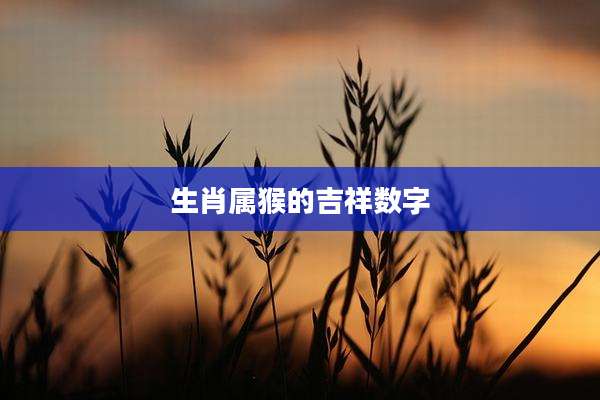 生肖属猴的吉祥数字