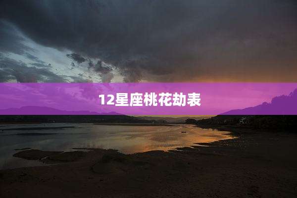 12星座桃花劫表