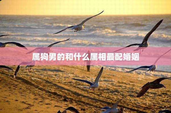 属狗男的和什么属相最配婚姻