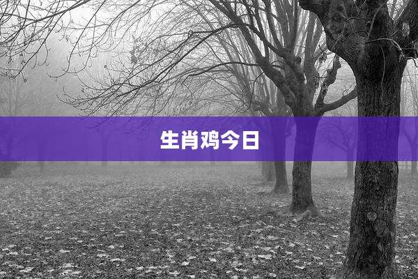 生肖鸡今日