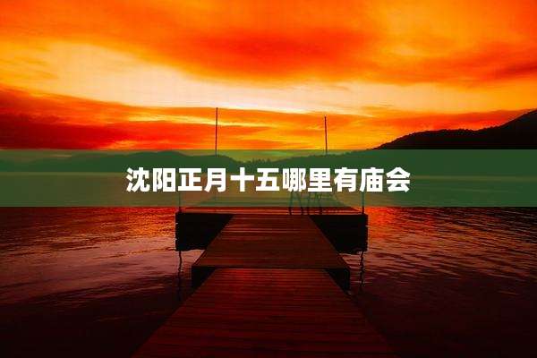 沈阳正月十五哪里有庙会