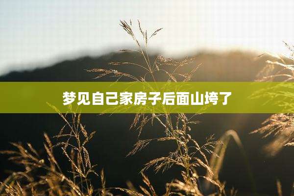 梦见自己家房子后面山垮了