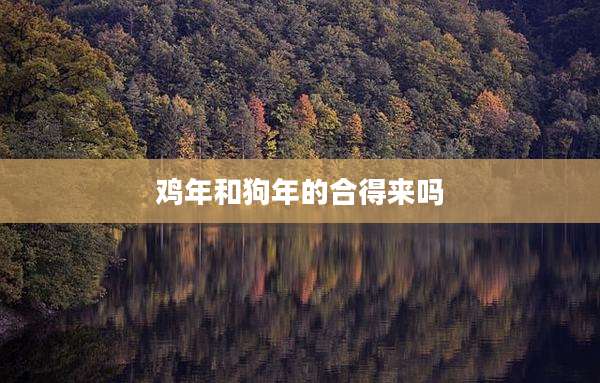 鸡年和狗年的合得来吗