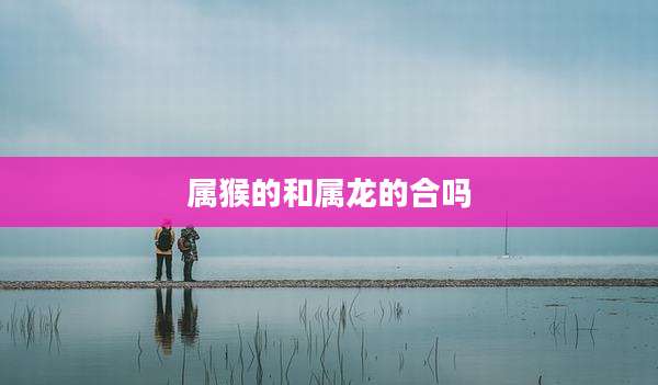 属猴的和属龙的合吗