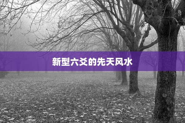新型六爻的先天风水