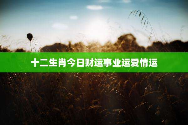 十二生肖今日财运事业运爱情运