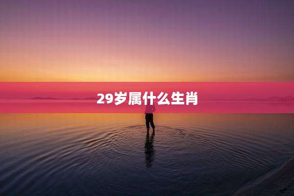 29岁属什么生肖