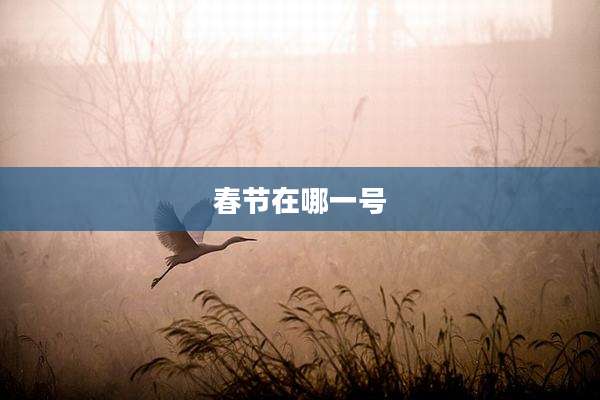 春节在哪一号