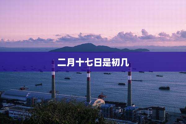 二月十七日是初几