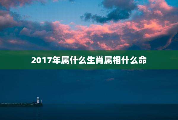 2017年属什么生肖属相什么命