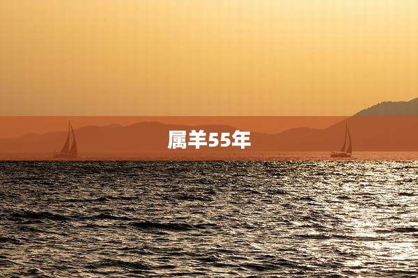 属羊55年