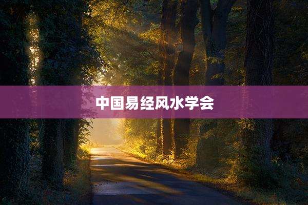 中国易经风水学会