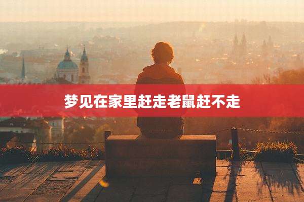 梦见在家里赶走老鼠赶不走