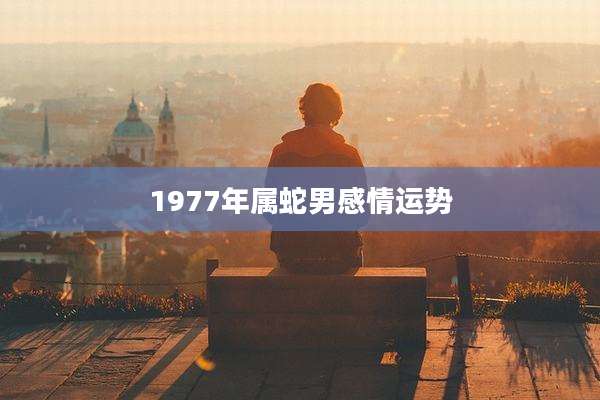 1977年属蛇男感情运势
