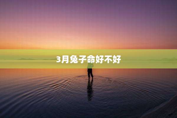 3月兔子命好不好
