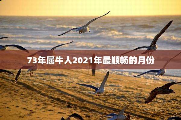 73年属牛人2021年最顺畅的月份